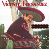 Vicente Fernández - Aca Entre Nos