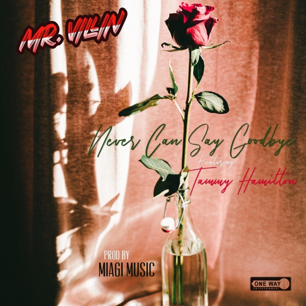 Never Can Say Goodbye (feat. Tammy Hamilton)