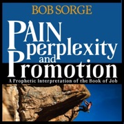 Pain, Perplexity & Promotion: A Prophetic Interpretation of the Book of Job (Unabridged) - Bob Sorge