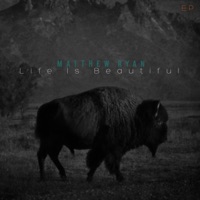 Life Is Beautiful - Single - Matthew Ryan