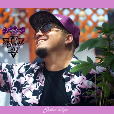 AutoValpo Delicious Seed - Single