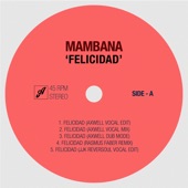 Felicidad (Axwell Vocal Edit) artwork