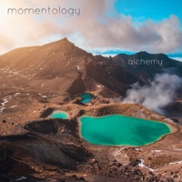 Alchemy - Single - Momentology
