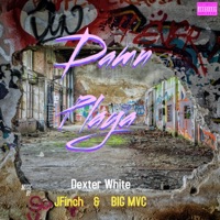 Damn Playa (feat. JFinch & Big MVC) - Single - Dexter White
