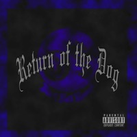 Return of the Dog - Dog Capital