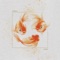 Chihiro (Catching Flies Remix) - Yoste lyrics