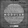 Modular, Vol. 39