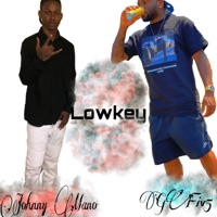 Lowkey (feat. Gfiv5) - Single - Johnny Mano