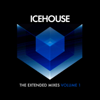 ICEHOUSE - The Extended Mixes Vol. 1 artwork