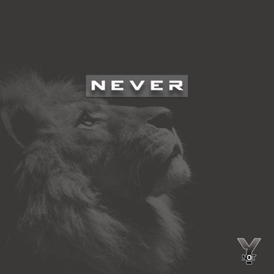 Never - Single