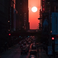 Robert 23 - Single - Dim Zach