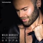 Wild Horses (Instrumental) artwork