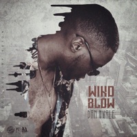 Windblow - Single - Dan Mwale