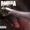 No Good (Attack the Radical) - Pantera lyrics