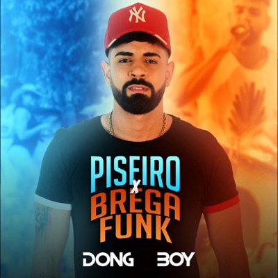 Piseiro X Brega Funk - Single