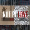 Not in Love - Single