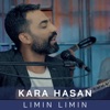 Limin Lımın - Single