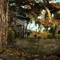 Jungla - Single - Jak Maker & Brian Hernandez