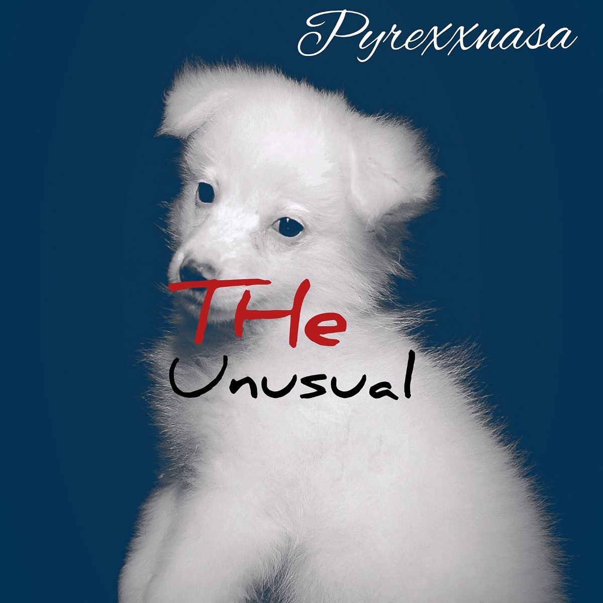 The Unusual - Pyrexx Nasa의 앨범 - Apple Music Pyrexx Nasa의 The Unusual