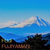 FUJI artwork