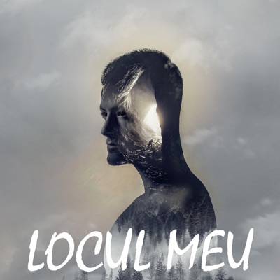 Locul Meu - Single