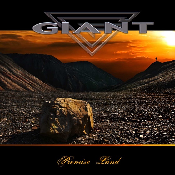Cover artwork for Never Surrender