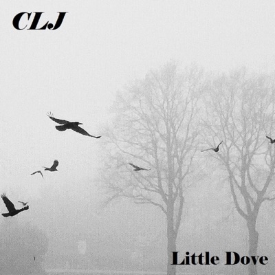 Little Dove - Single
