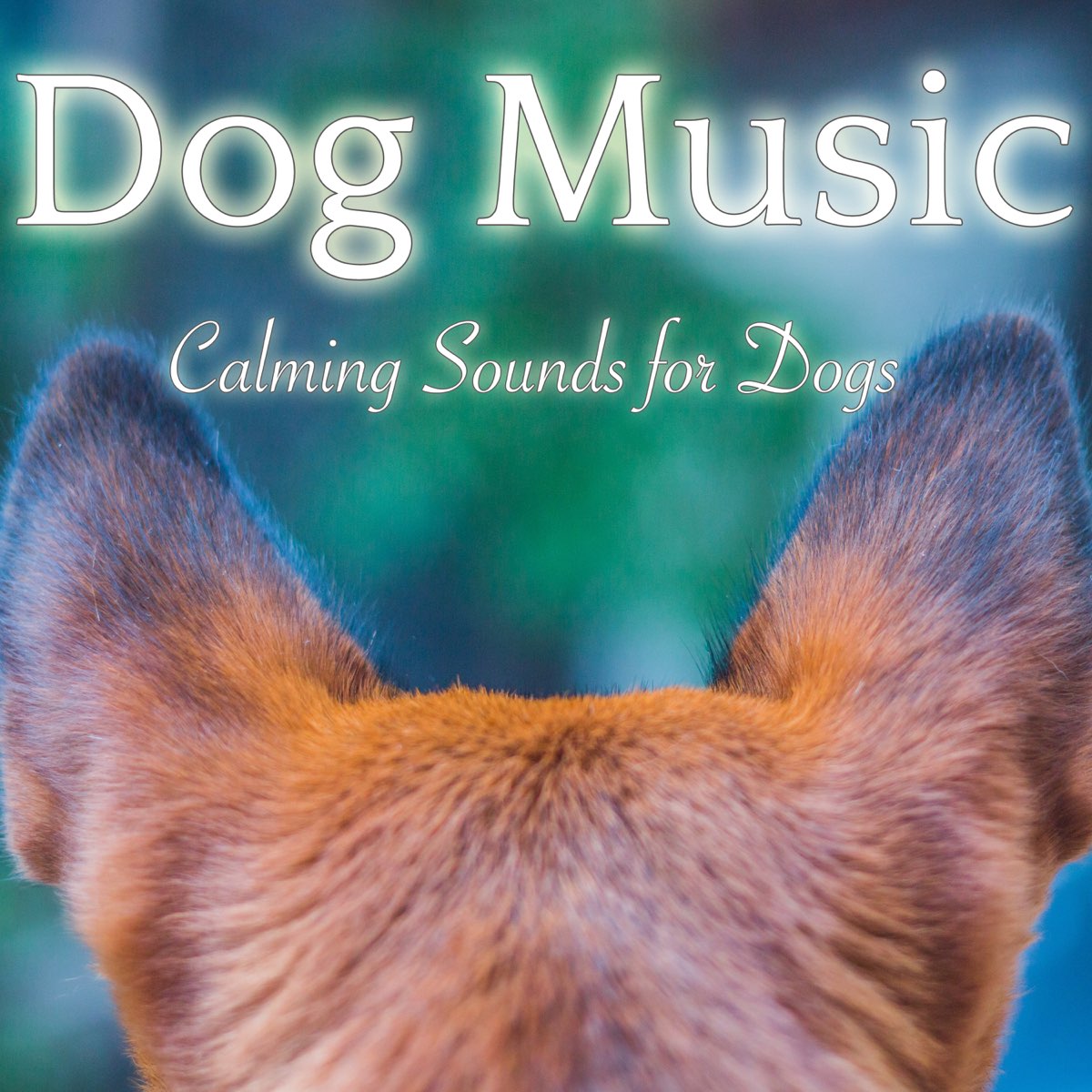 ‎Dog Music - Calming Sounds for Dogs: Relaxation and Sleeping Music for ...