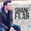Shane Filan - Eternal Flame artwork