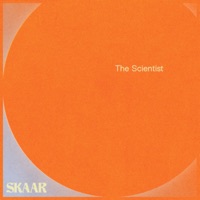 Album cover for The Scientist - Single by SKAAR