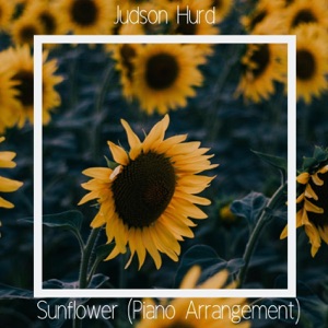 Sunflower (Piano Arrangement)