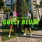 Gucci bluze - Corona & Rimski lyrics