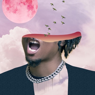 Stranger Times - Single