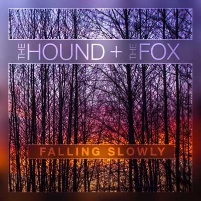 Falling Slowly - Single
