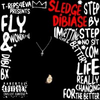 Fly and Wonderful (Deluxe) - Sledge DiBiase