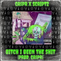 Bitch I Been the $hit (feat. Scriptz) - Single - CA$pr