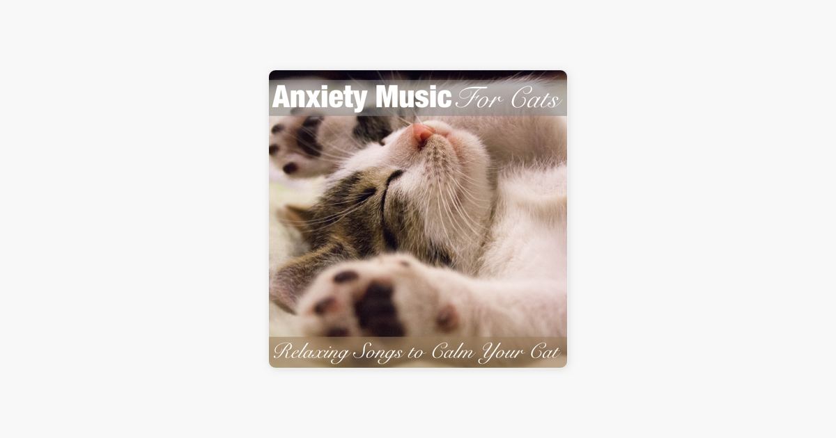 Music To Calm Your Cat 2024 jacksonvillechristianacademy