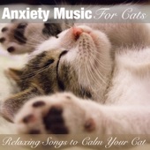 Anxiety Music for Cats: Relaxing Songs to Calm Your Cat artwork