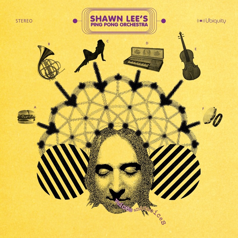 Kiss the Sky by Shawn Lee's Ping Pong Orchestra album cover