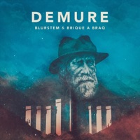 Demure - Single - Blurstem & Brique a Braq