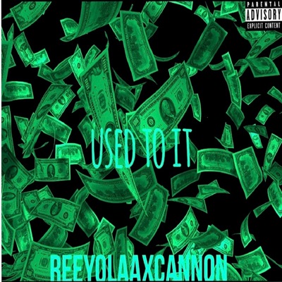 Used to It (feat. Cannon) - Single