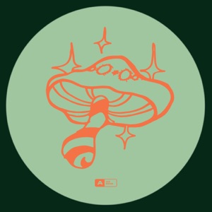 Faerie Stomp (Adam Pits Remix)