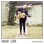 Gabe Lee - last country song