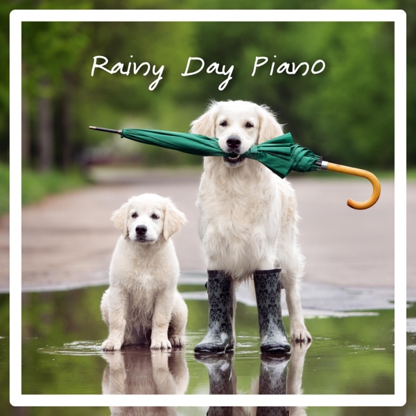 Rainy Day Piano