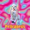 We Like Ike - Pelicanesis lyrics