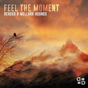 Feel the Moment - Single