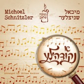 צמח צדק artwork