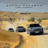 Дикий караван - Single