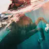 indie tribe, DJ Mykael V & nobigdyl. - CLEAR (feat. Jon Keith & Mogli the Iceburg)