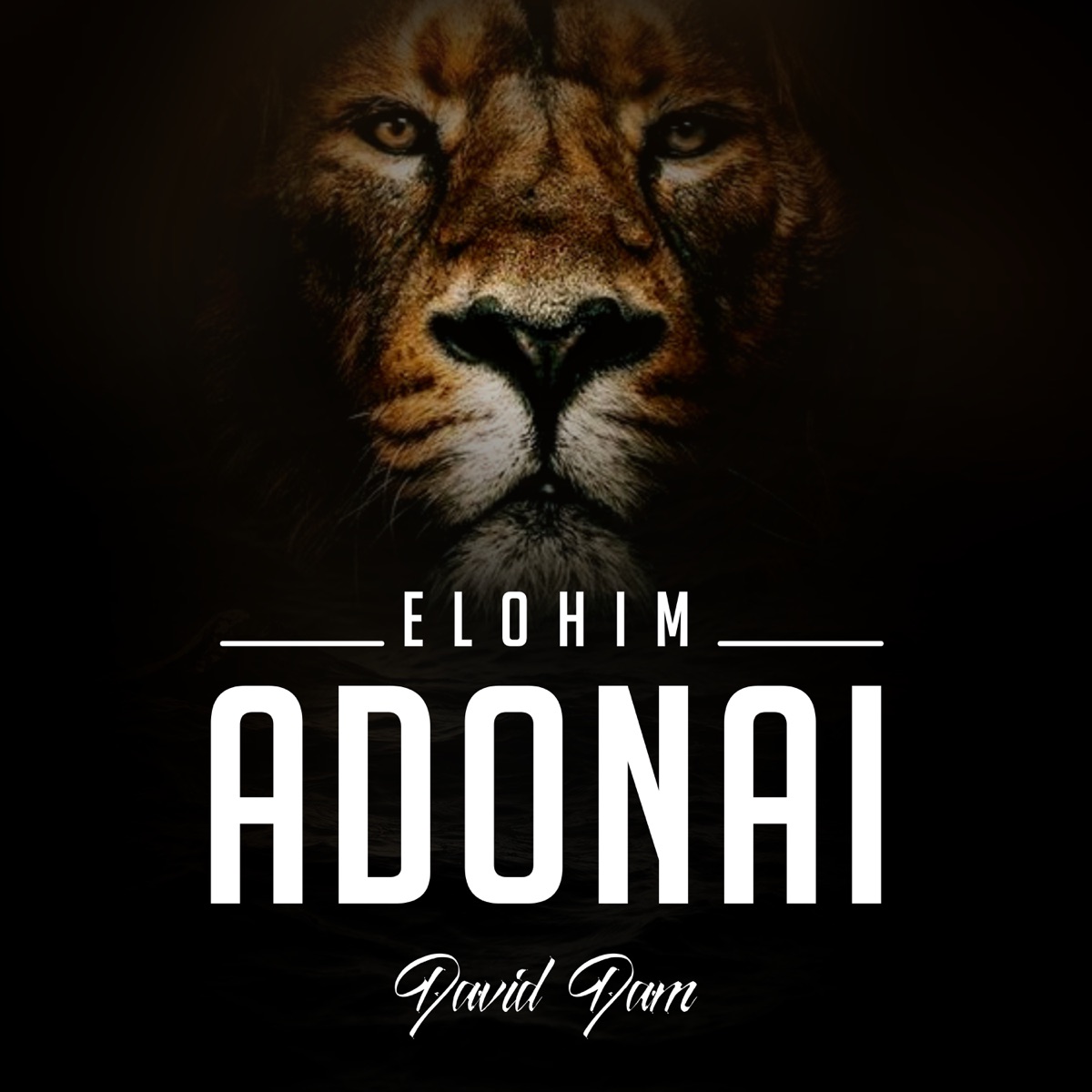 Elohim - Adonai - Single - Album by Bunmi Praise - Apple Music